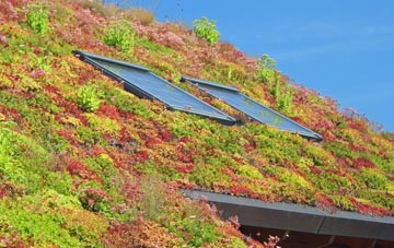Nunthorpe living roof systems